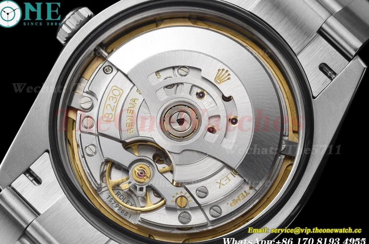 Black Explorer 40mm SS VS3230 224270 SS Dial VSF I 0129